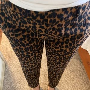 Leopard print pants